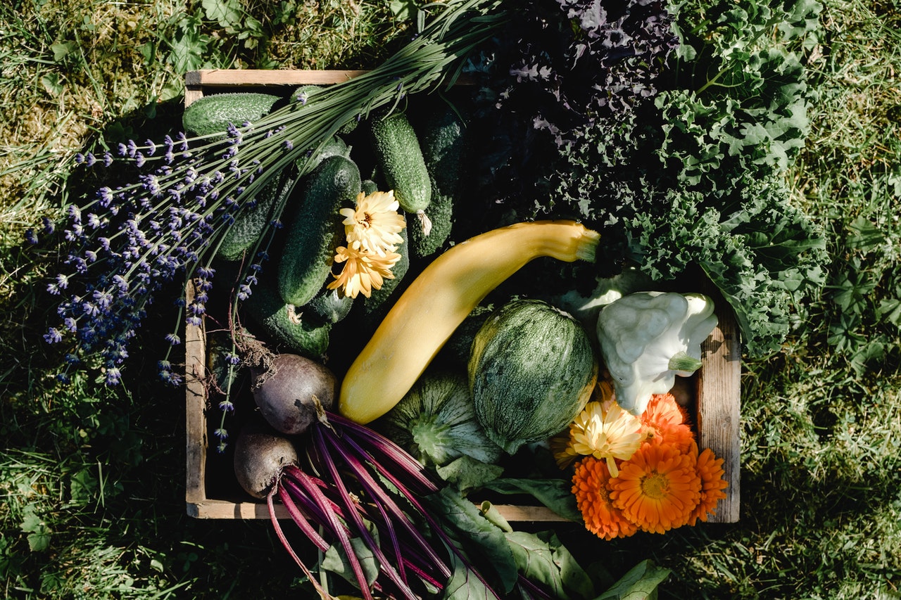 Harvested veggies from a vegetable garden