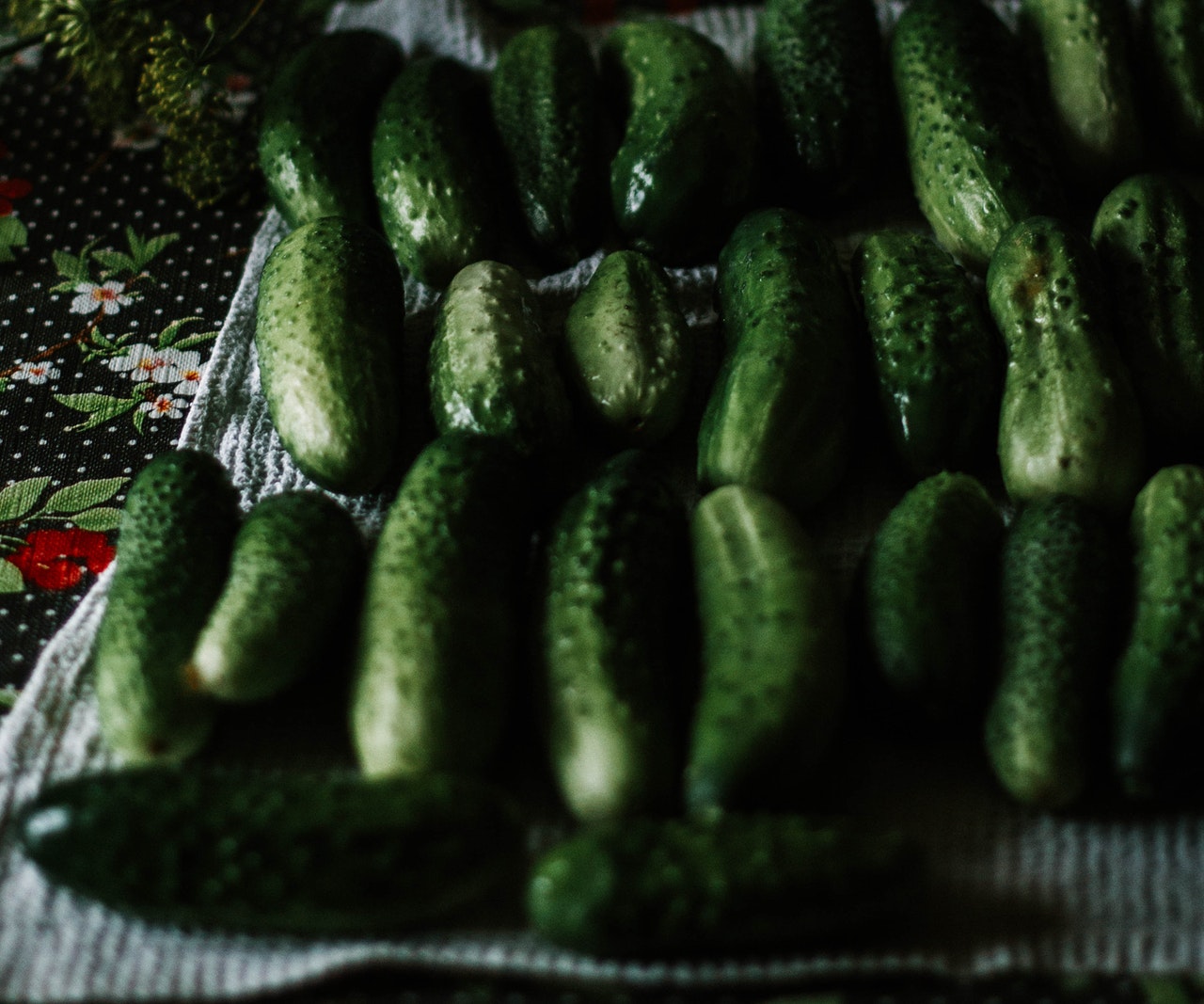 Many harvestes and fresh cucumberes