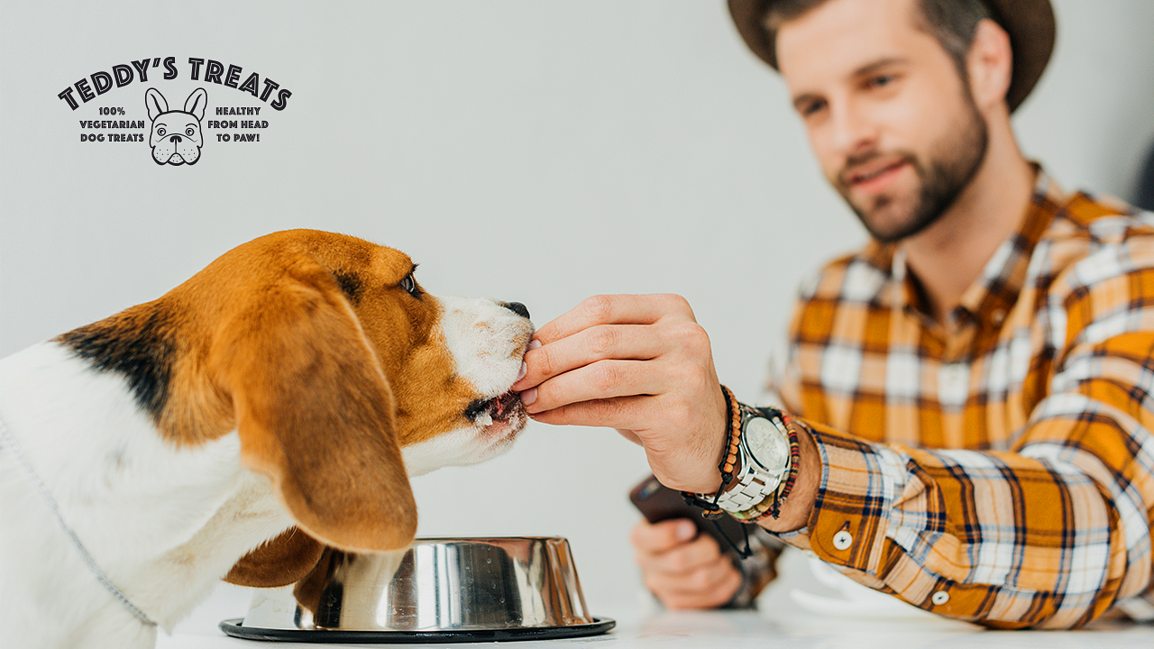 Dog is eating vege treats that are good for this health